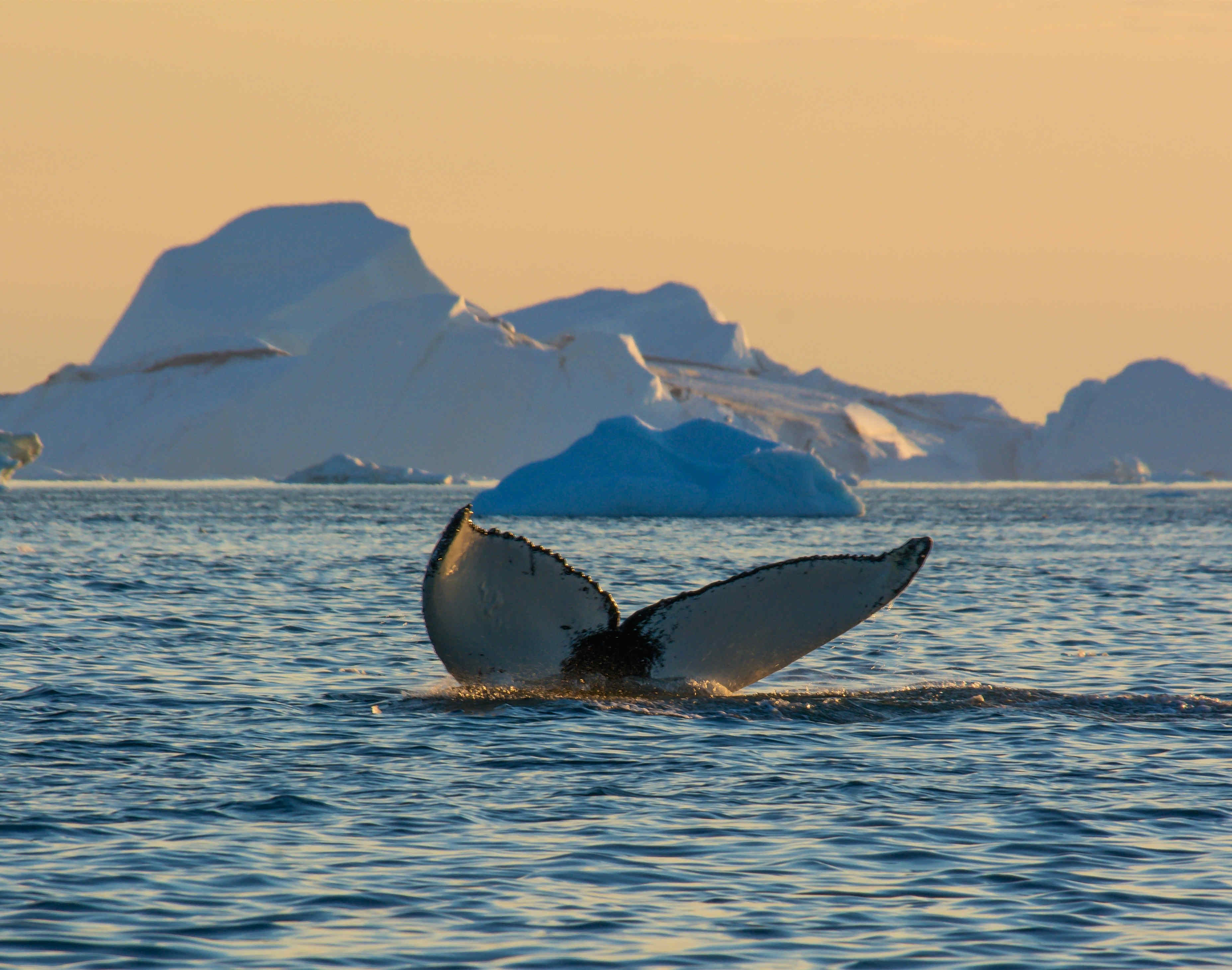 Ilulissat