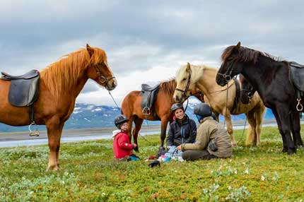 Familien-Reitausflug in Island