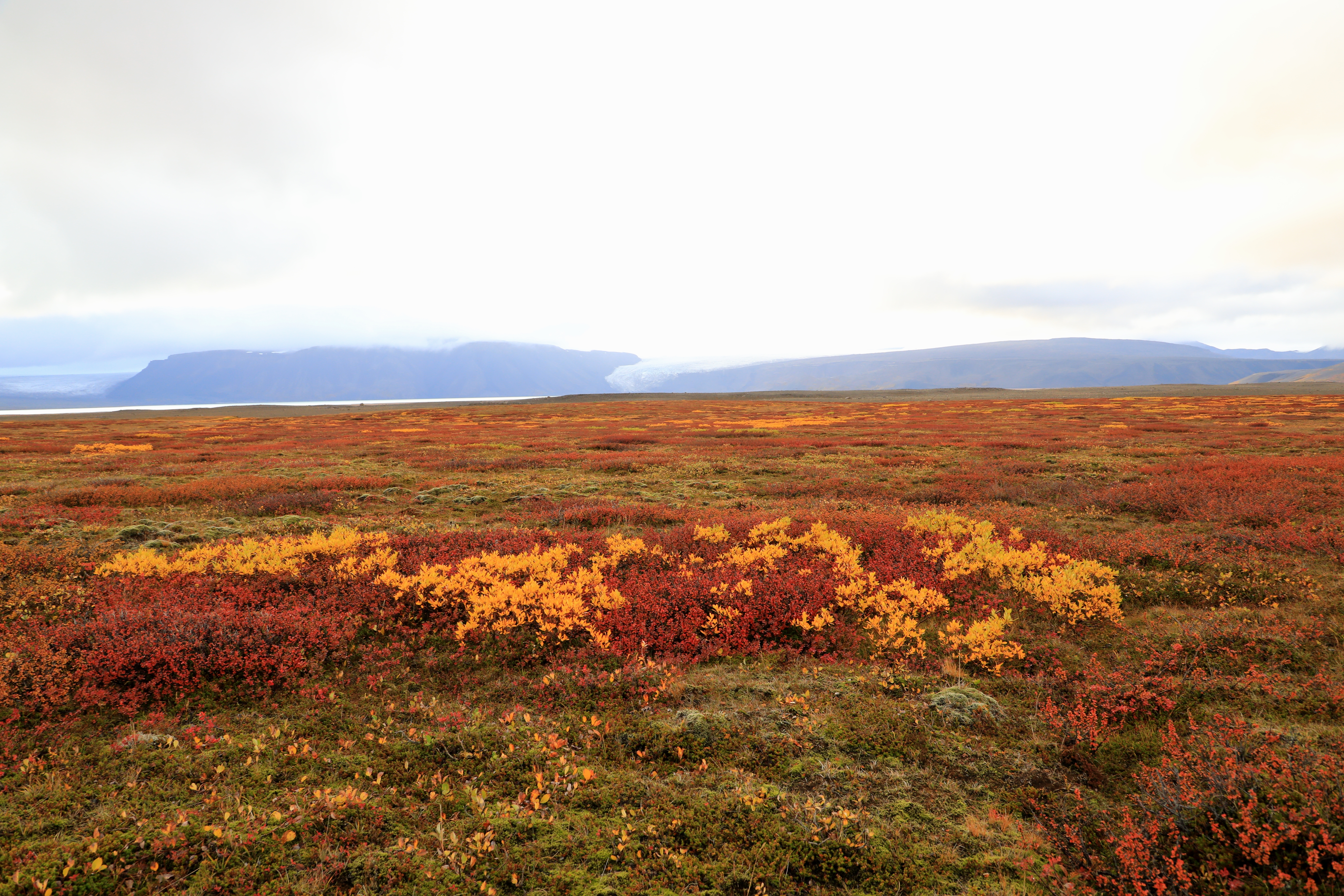 Island in Herbstfarben